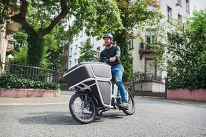 RideOn Urban Arrow Shorty Business E-cargo e-bike