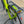 Cube Kathmandu Pro Hybrid 800 - Pre-loved